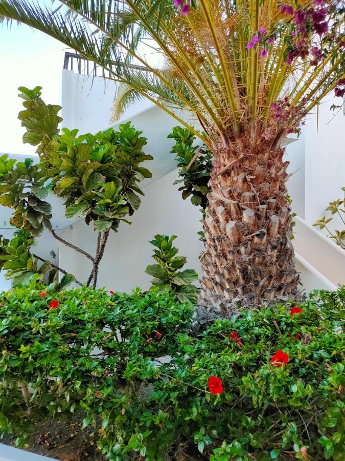 Apartament Flor De Cactus Costa Teguise Zewnętrze zdjęcie
