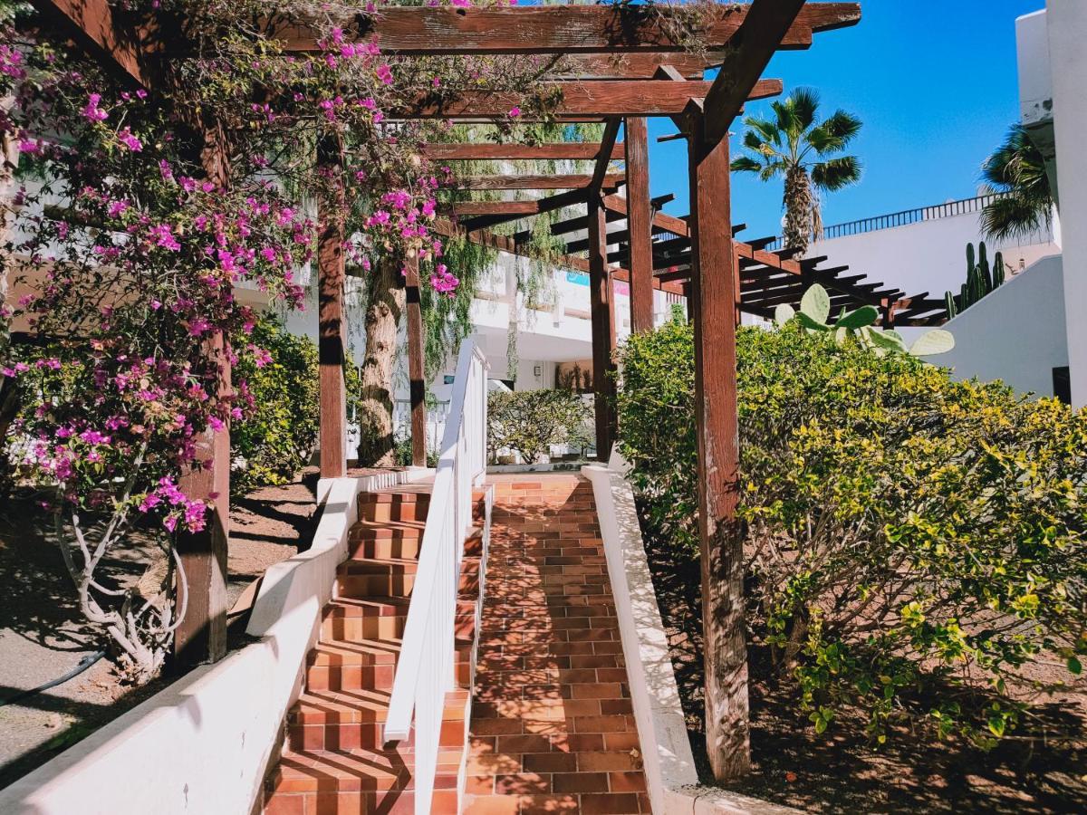 Apartament Flor De Cactus Costa Teguise Zewnętrze zdjęcie