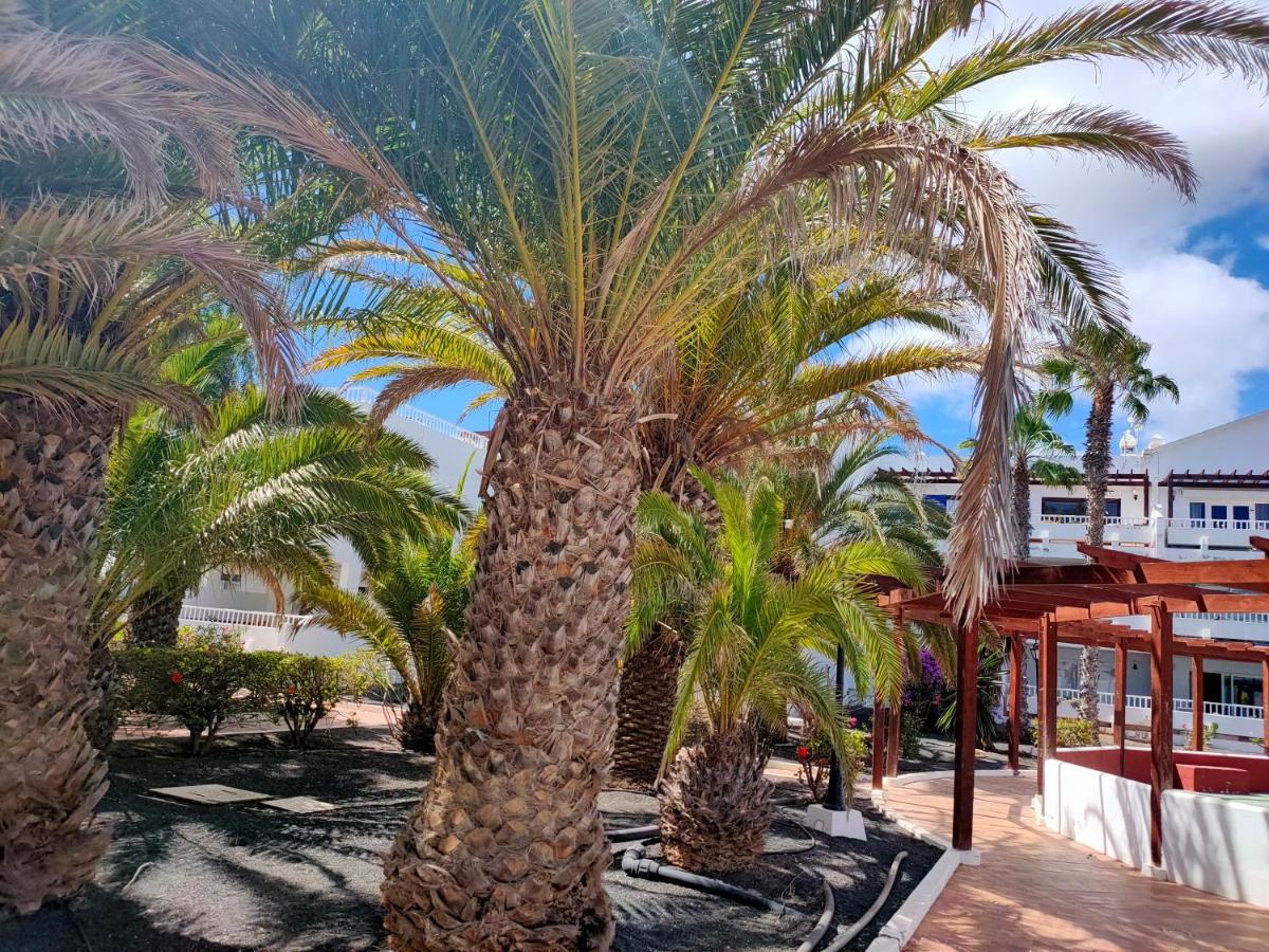 Apartament Flor De Cactus Costa Teguise Zewnętrze zdjęcie