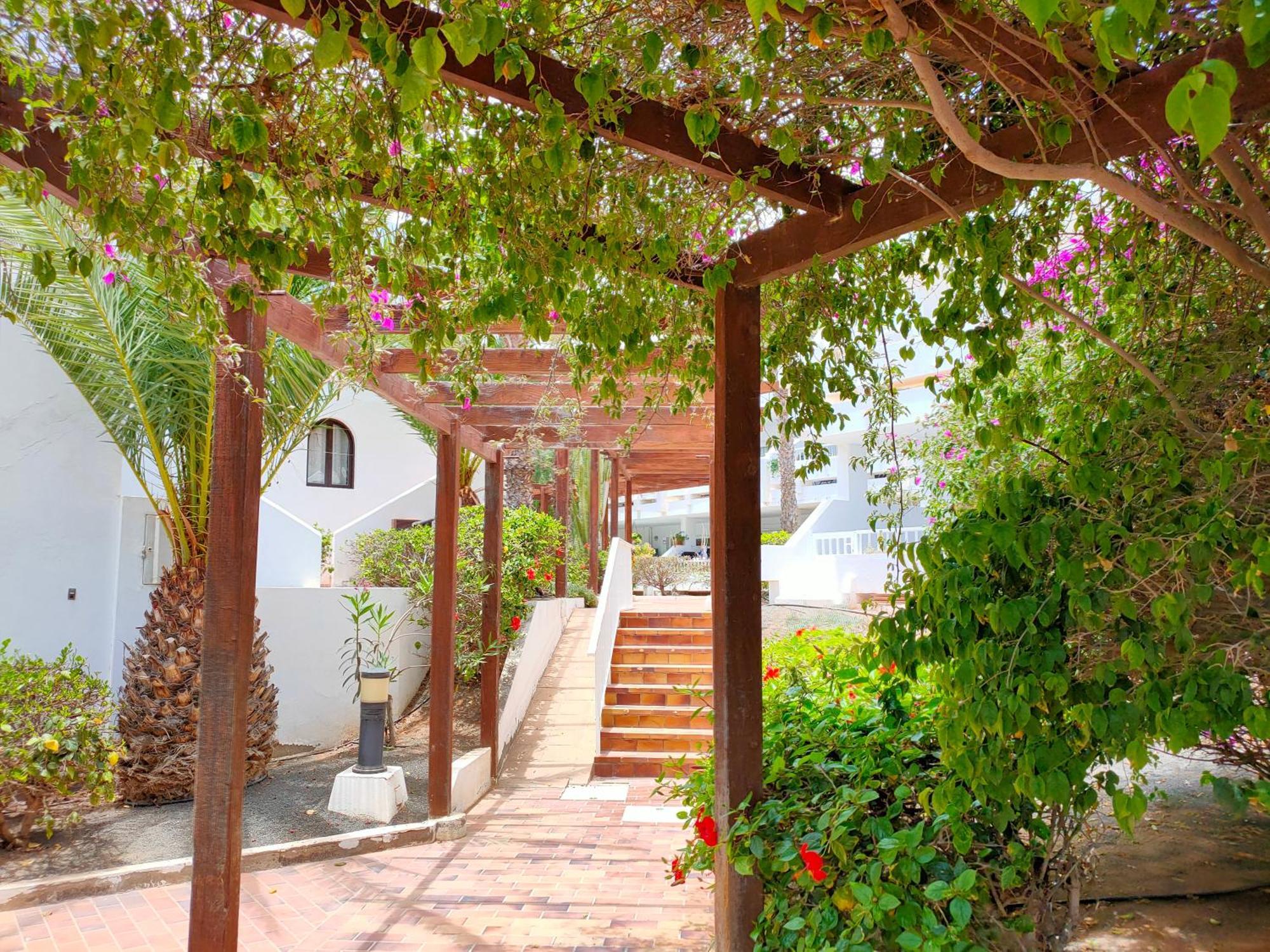 Apartament Flor De Cactus Costa Teguise Pokój zdjęcie