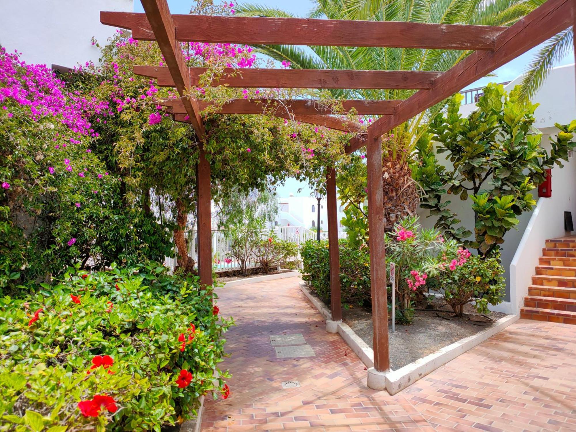 Apartament Flor De Cactus Costa Teguise Pokój zdjęcie
