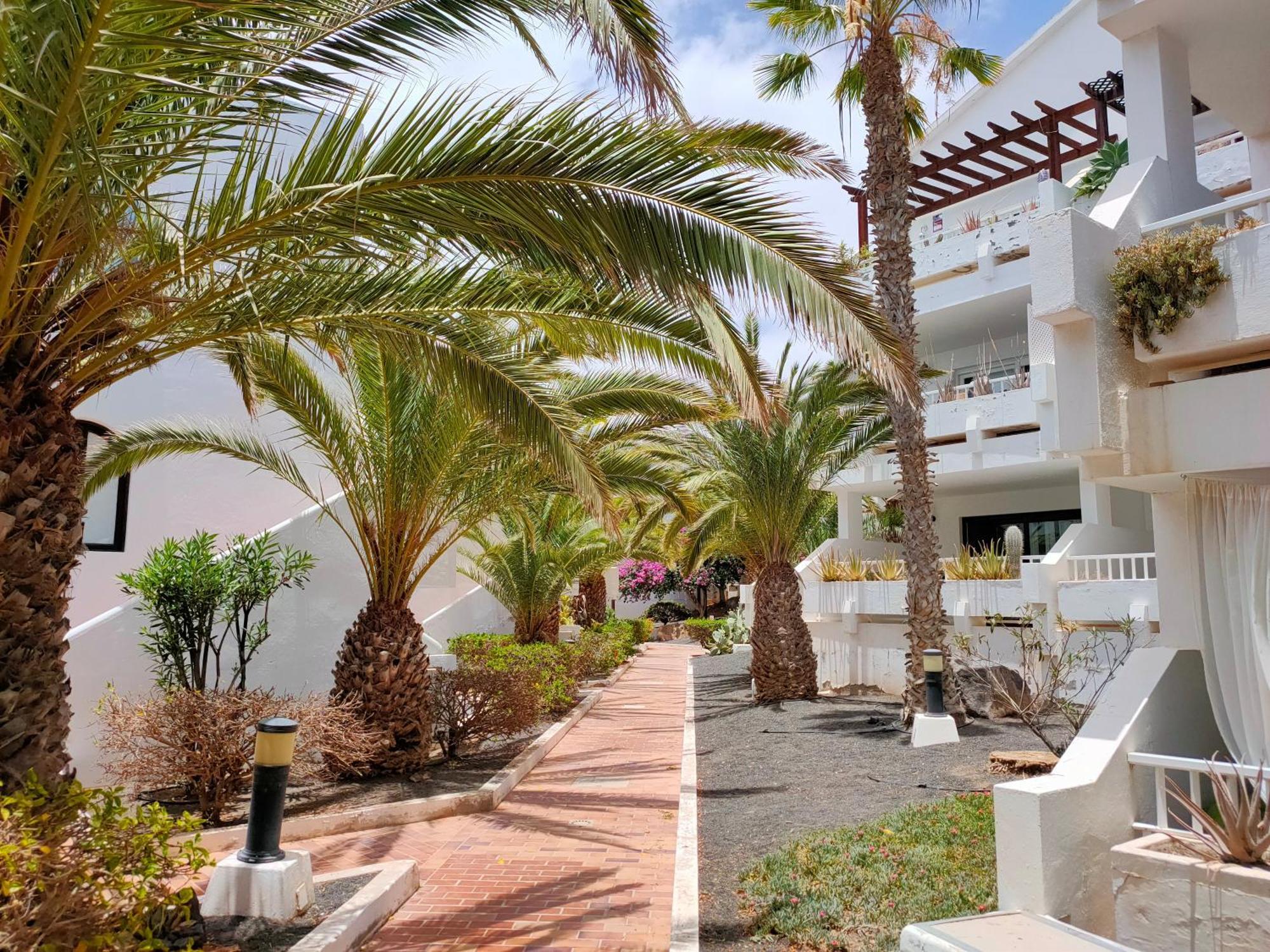 Apartament Flor De Cactus Costa Teguise Pokój zdjęcie